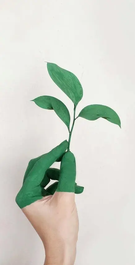 sustainable fashion